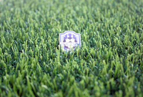 前泰達助教王霄、前泰達董事長董文勝被帶走調查