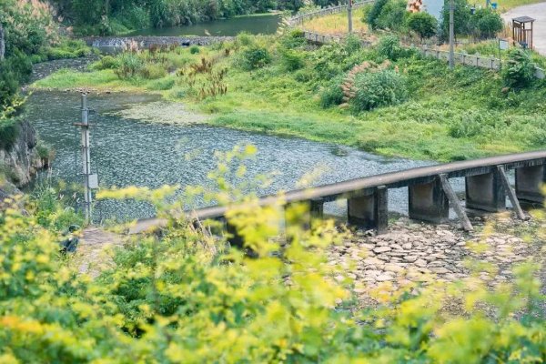 秋日私藏，走起！浙江10條小眾古道，你去過幾條