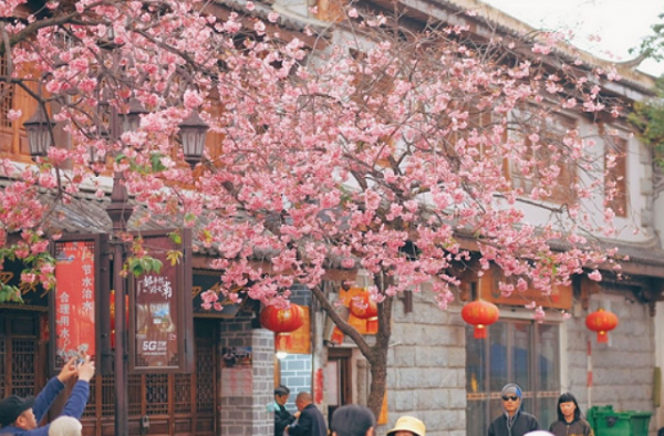 為什麼現在越來越多歪果仁在中國待久了不願意回國