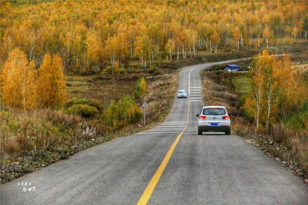 我為何會建議在秋天去呼倫貝爾大草原看看？因為它會變成一幅油畫