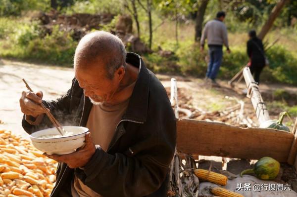 河南大爺養1頭騾子種30畝地，能吃能幹，午飯吃4個雞蛋2碗麵