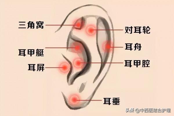 「經絡穴位科普」穴位就是中藥,經絡就是藥房!太有用了!收藏吧 「經絡穴位科普」穴位就是中藥,經絡就是藥房!太有用了!收藏吧