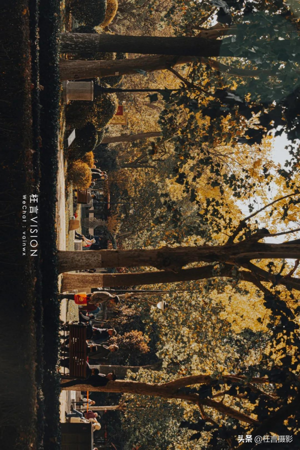 深秋在哪裡 深秋在哪裡