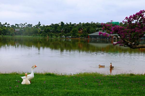 彌勒太平湖森林木屋酒店是最好的休閒、度假、養生天堂 彌勒太平湖森林木屋酒店是最好的休閒、度假、養生天堂