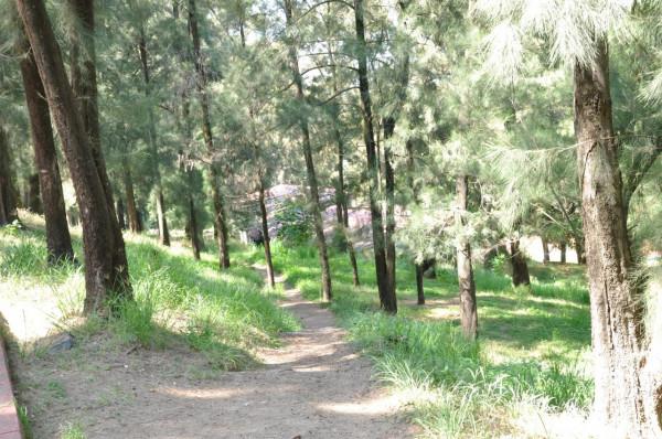 我的墨西哥往事(二),看看我曾經居住三年多的地方漂亮嗎? 我的墨西哥往事(二),看看我曾經居住三年多的地方漂亮嗎?