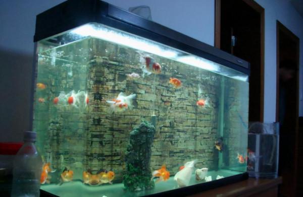 老祖宗的忠告“送禮七不送”,到底是哪七種禮不要送?有無道理? 老祖宗的忠告“送禮七不送”,到底是哪七種禮不要送?有無道理?