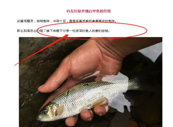 服了佳釣尼&comma;在作死的邊緣試探&comma;官方號還教授怎麼釣&OpenCurlyDoubleQuote;多鱗白甲魚&rdquo;