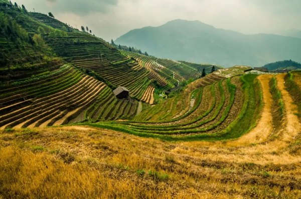 11月去哪裡賞秋?6個人少景美的旅行地,正是你要出發的方向 11月去哪裡賞秋?6個人少景美的旅行地,正是你要出發的方向