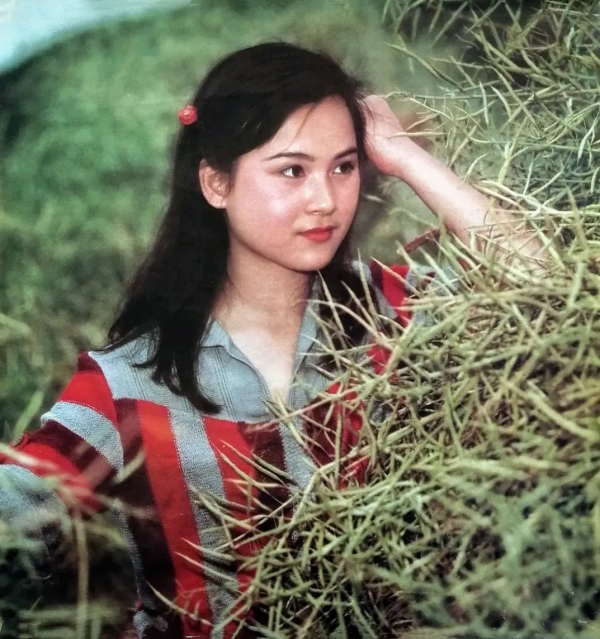 80年代當紅女星朱碧雲,巔峰時隱退遠走美國,如今過得怎麼樣了? 80年代當紅女星朱碧雲,巔峰時隱退遠走美國,如今過得怎麼樣了?