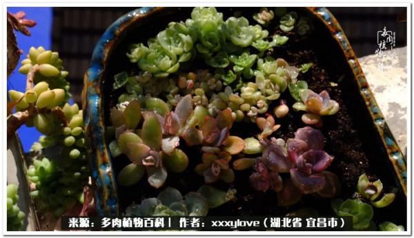 時光匆匆，一閃而逝，這世間萬物的美，都值得被記錄