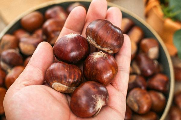 燉雞肉,不要再焯水了,難怪不爛還塞牙,教你一招,軟嫩還不柴 燉雞肉,不要再焯水了,難怪不爛還塞牙,教你一招,軟嫩還不柴