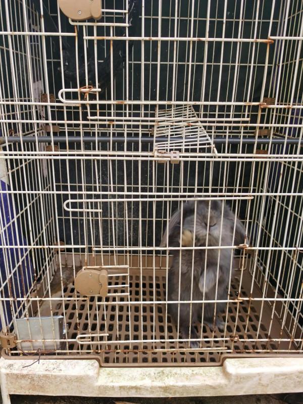 酒店遛娃之漢南綠地鉑瑞,紅火到冷清到底是什麼原因 酒店遛娃之漢南綠地鉑瑞,紅火到冷清到底是什麼原因