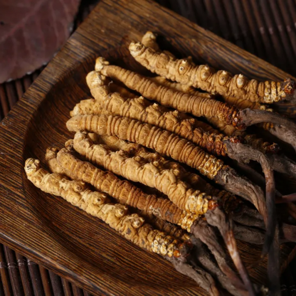 這幾款中藥，是預防秋燥症的良藥