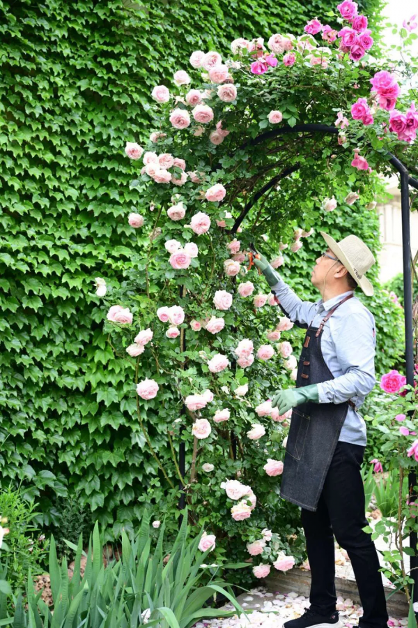 東北花友走遍歐洲著名花園,回國後建了座四季有花的北方花園 東北花友走遍歐洲著名花園,回國後建了座四季有花的北方花園
