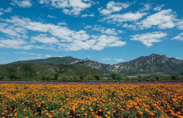 賞秋時節 | 打卡京郊這10條鄉村公路，藏著北京最美的秋天