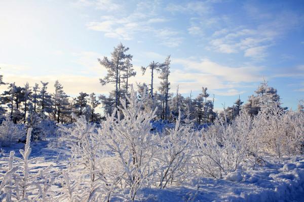 12月去哪玩?這8個美如畫卷的小眾打卡地,一到冬天就美成了仙境 12月去哪玩?這8個美如畫卷的小眾打卡地,一到冬天就美成了仙境
