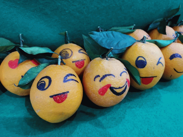 第21屆農交會受疫情影響，我們遲點見，但這些亮點你能提前瞭解