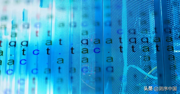 王凱團隊發表解析遺傳變異的深度學習演算法——NanoCaller 王凱團隊發表解析遺傳變異的深度學習演算法——NanoCaller