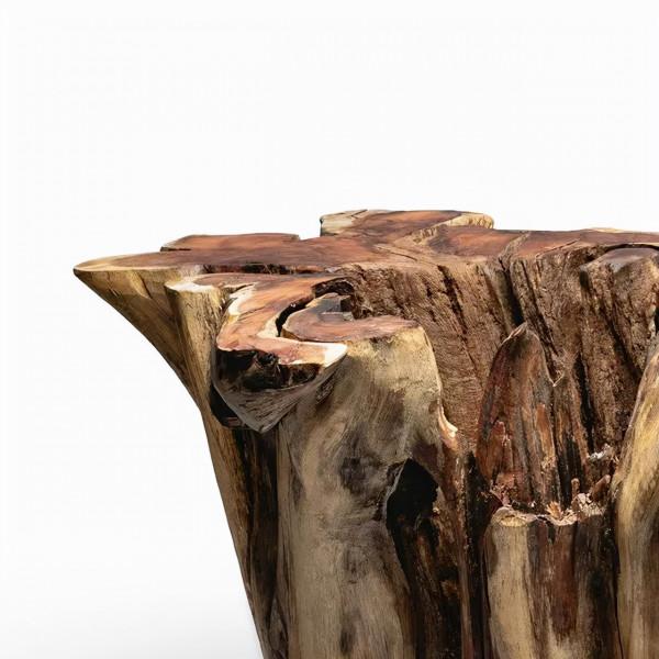 我們分析了一波趨勢，2022年在家裡放這些“超有品”