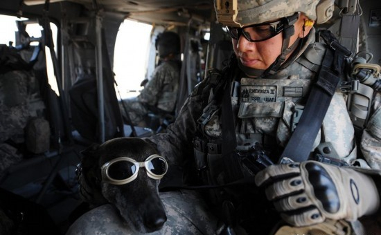 為什麼總感覺美國大兵在戰爭時候都愛戴著墨鏡打仗,耍酷的嗎? 為什麼總感覺美國大兵在戰爭時候都愛戴著墨鏡打仗,耍酷的嗎?