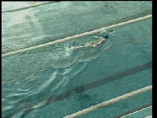 爬泳動作,五個頭部和手部最容易出現的常見錯誤問題 爬泳動作,五個頭部和手部最容易出現的常見錯誤問題