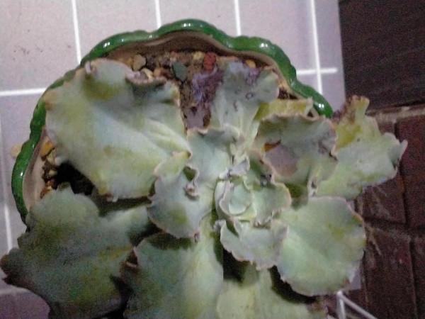 今年天氣真夠嗆