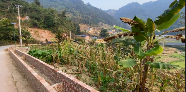 雲南麻粟坡縣地雷村，環境優美民風淳樸，真有地雷不要亂跑