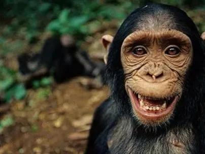 人類的最原始祖先是誰？它從哪裡來，又來自哪個具體年代？