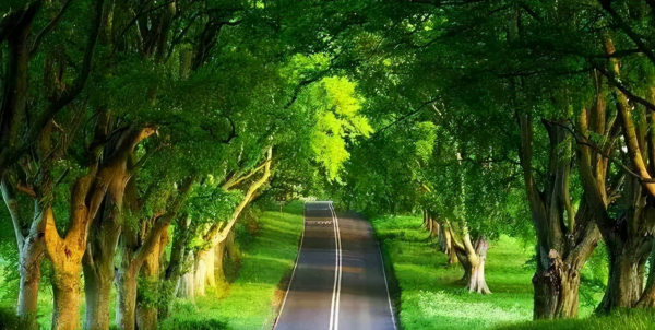 人生要過的“十大關”，你過了多少？