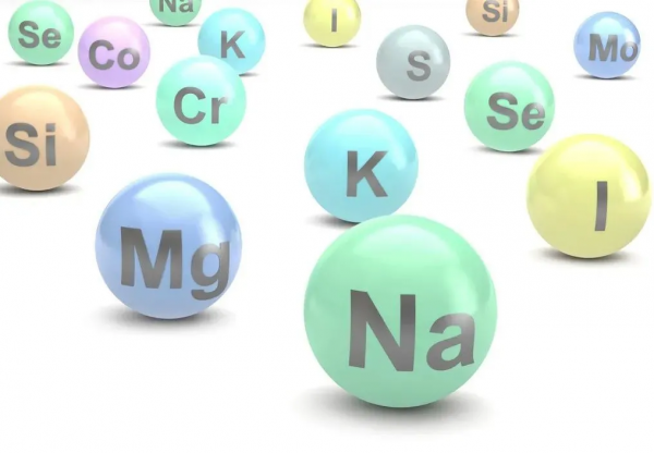 營養素與記憶力的關係