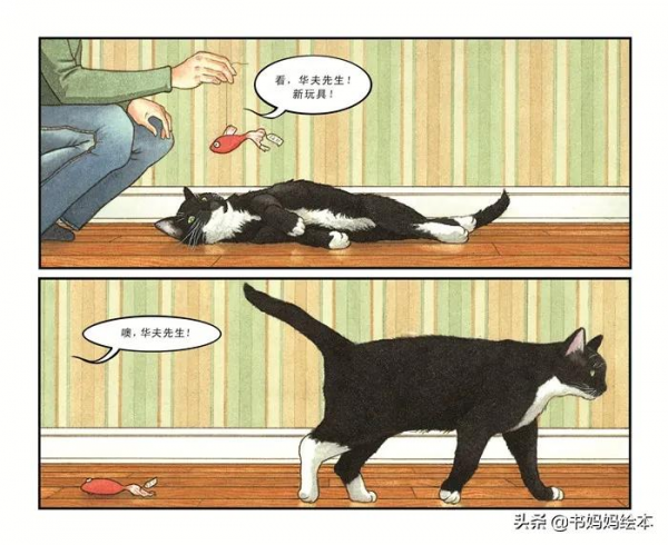 貓咪主題繪本推薦｜和孩子一同開啟喵星人的世界