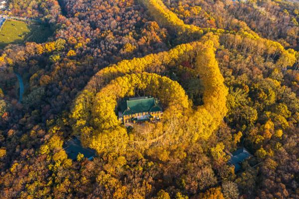 一見南京誤終身!忽然,想去金陵了 一見南京誤終身!忽然,想去金陵了