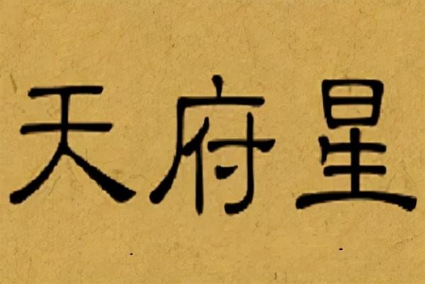 紫微斗數：天府星的性質