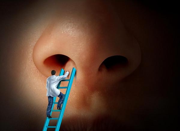 5個常見養生謠言丨看你有沒有中招 5個常見養生謠言丨看你有沒有中招