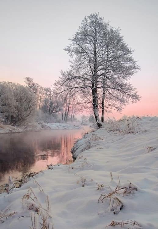 分享白雪皚皚的雪景，銀裝素裹，美景如畫