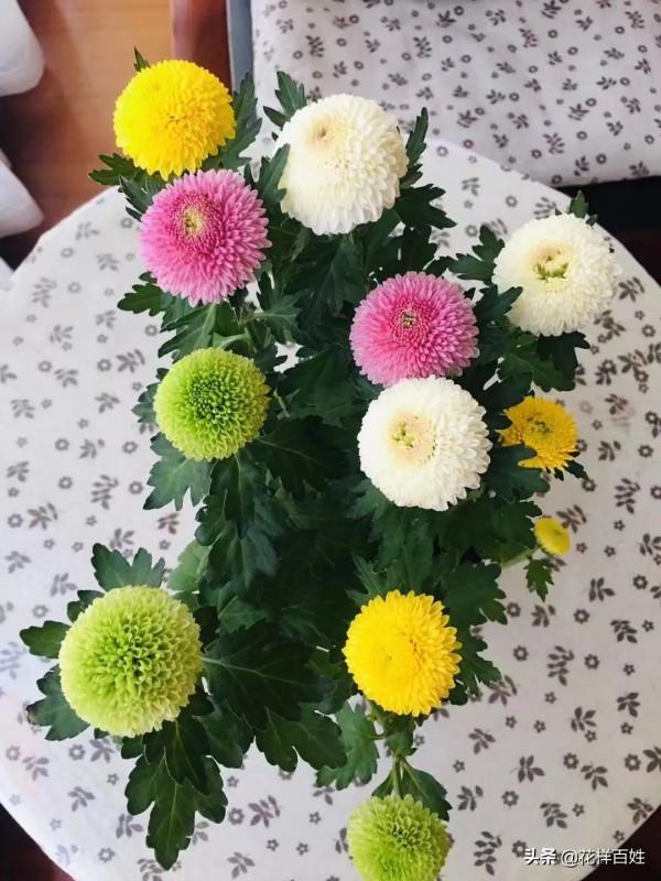 48歲開始跑步，從生活不能自理到馬拉松女神，10年她的改變太驚人