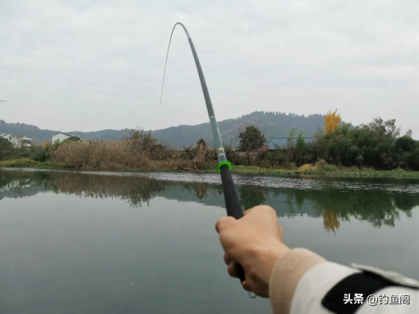 聊聊漁具測評的那點事兒，說幾句實話，不可不信不可全信