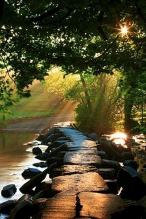 散文：一幀幀過往，皆是回不去的流年