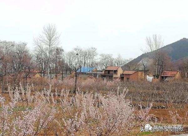 我被下放華縣柳枝公社梁堡大隊吝家河村的經歷