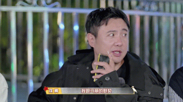 比夫妻更默契的搭檔？皓史成雙雙向奔赴，沈騰馬麗十年風雨同行？