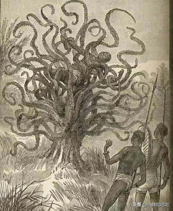 你不知道的20條國家冷知識——“奇妙的”馬達加斯加