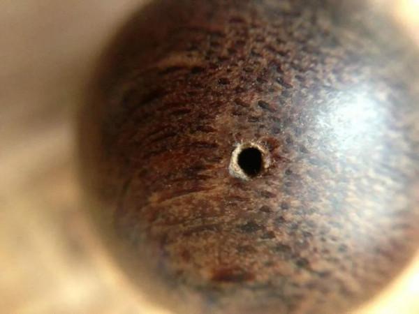 越南紅土沉香珠子