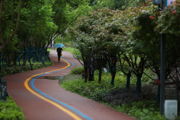 雨中苦竹溪 享受生態美