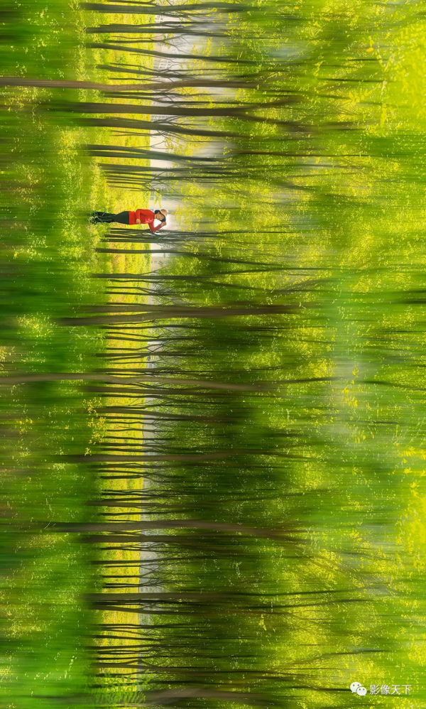 湖北的秋天,美呆了! 湖北的秋天,美呆了!