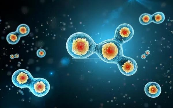 你希望活多久？英媒稱人類能活到130歲，但機率只有百萬分之一