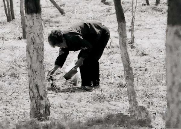 日師團長外甥女被俘和軍人生子,因秘密任務回國,兒子尋母30多年 日師團長外甥女被俘和軍人生子,因秘密任務回國,兒子尋母30多年
