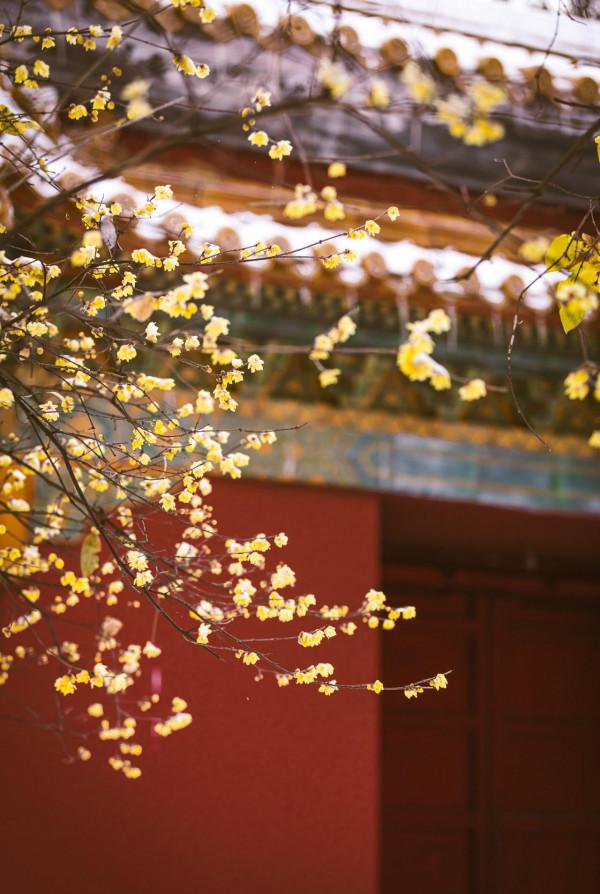 一見南京誤終身!忽然,想去金陵了 一見南京誤終身!忽然,想去金陵了