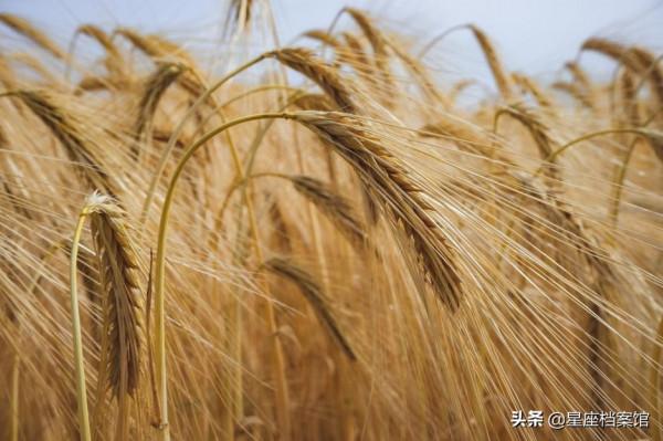 能幹大事的星座，耐得住寂寞、受得了委屈、擋得住糖衣炮彈