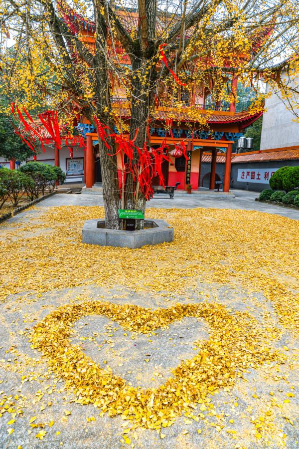 湖南有座古剎，相傳被“五條龍”守護，是湘潭境內四大古剎之一