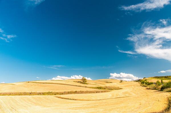 江布拉克–藏在天山深處的仙境